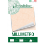 BLOCCHI CARTA MILLIMETRATA  Formato cm 21x29,7 (A4) PRECISION