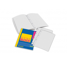 Raccoglitore ricambi rinforzati  BOOK&BLOCK-  Formato-  A4-  Rigatura-  5 MM-  N. fogli-  40
