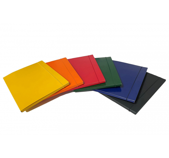 CARTELLA PORTA PROGETTI D1 IN COLOR-  6 colori assortiti-  Dorso-  cm 1