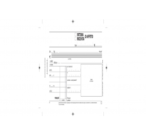 Ricevute - Fatture di affitto-  Formato-  cm 32,5x25,5